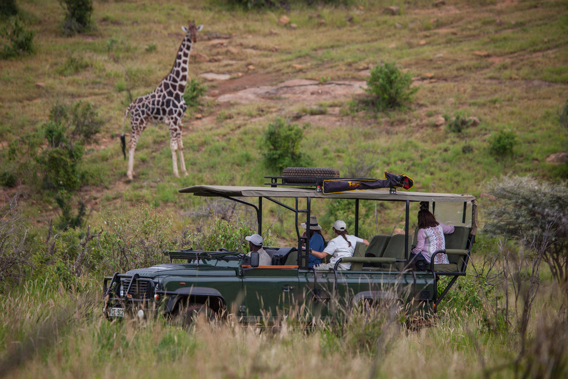Game Drives In Loisaba